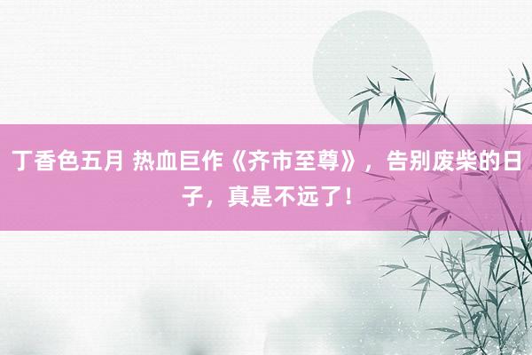 丁香色五月 热血巨作《齐市至尊》，告别废柴的日子，真是不远了！