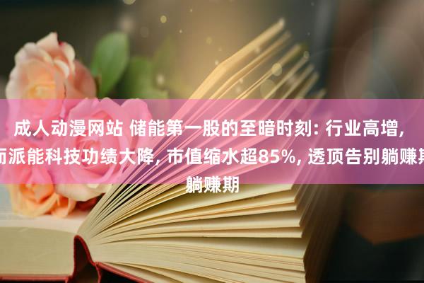 成人动漫网站 储能第一股的至暗时刻: 行业高增, 而派能科技功绩大降, 市值缩水超85%, 透顶告别躺赚期