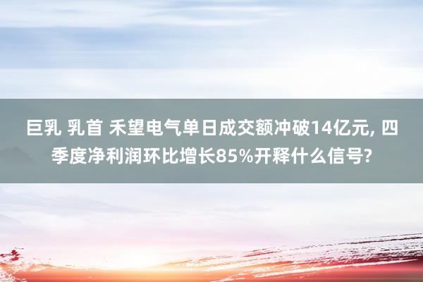 巨乳 乳首 禾望电气单日成交额冲破14亿元, 四季度净利润环比增长85%开释什么信号?
