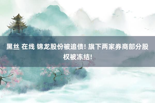 黑丝 在线 锦龙股份被追债! 旗下两家券商部分股权被冻结!