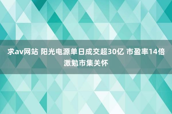 求av网站 阳光电源单日成交超30亿 市盈率14倍激勉市集关怀