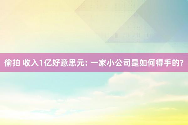 偷拍 收入1亿好意思元: 一家小公司是如何得手的?