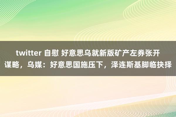 twitter 自慰 好意思乌就新版矿产左券张开谋略，乌媒：好意思国施压下，泽连斯基脚临抉择