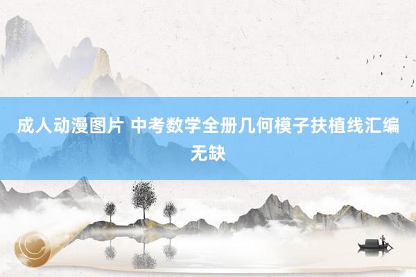 成人动漫图片 中考数学全册几何模子扶植线汇编无缺