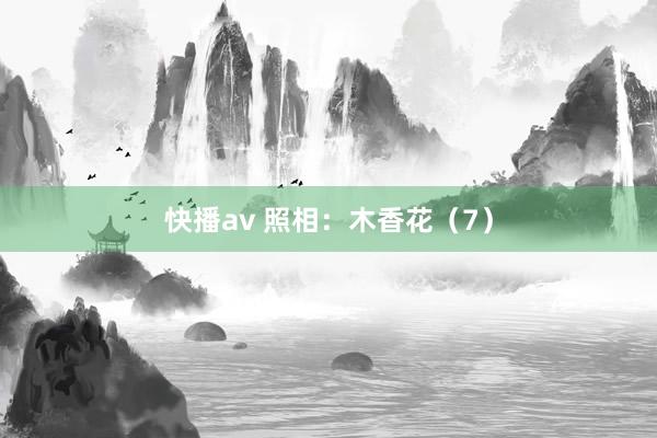 快播av 照相：木香花（7）