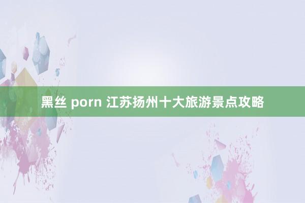 黑丝 porn 江苏扬州十大旅游景点攻略