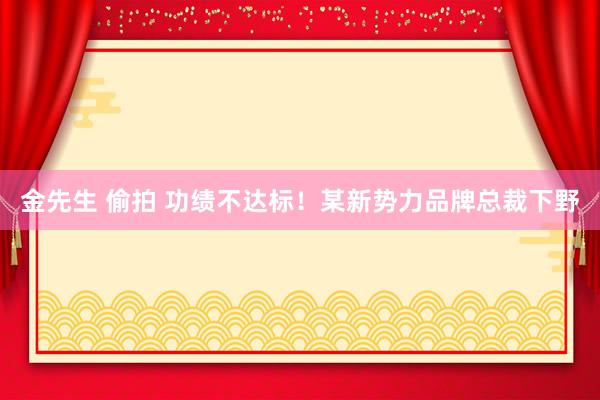 金先生 偷拍 功绩不达标！某新势力品牌总裁下野