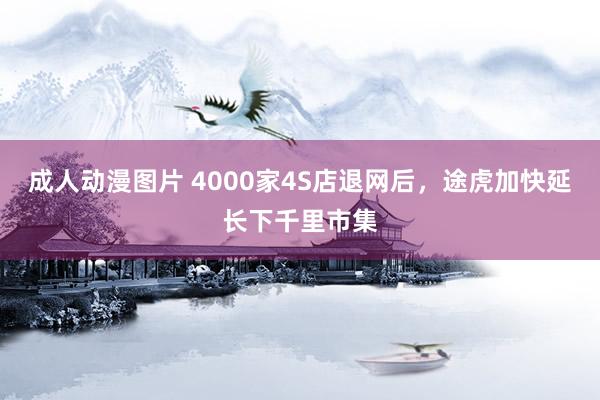 成人动漫图片 4000家4S店退网后，途虎加快延长下千里市集