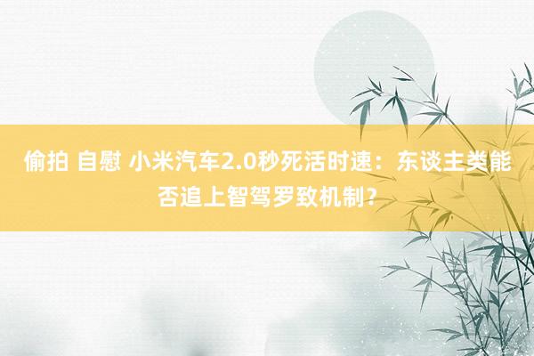 偷拍 自慰 小米汽车2.0秒死活时速：东谈主类能否追上智驾罗致机制？