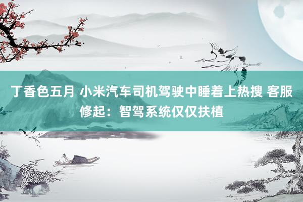 丁香色五月 小米汽车司机驾驶中睡着上热搜 客服修起：智驾系统仅仅扶植