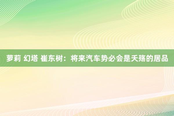 萝莉 幻塔 崔东树：将来汽车势必会是夭殇的居品