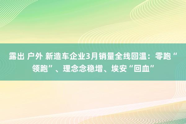 露出 户外 新造车企业3月销量全线回温：零跑“领跑”、理念念稳增、埃安“回血”