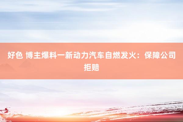 好色 博主爆料一新动力汽车自燃发火：保障公司拒赔